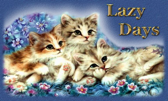 Lazy Days Title Page, 3 kittens on a pillow