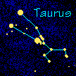 Taurus courtesy of Brandi Jasmine