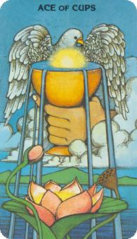 Morgan Greer Tarot:  Ace of Cups