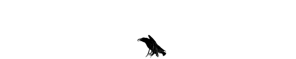 Ravens, courtesy of Krista Conrad